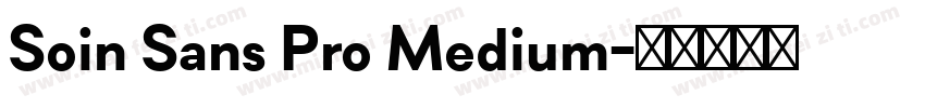 Soin Sans Pro Medium字体转换